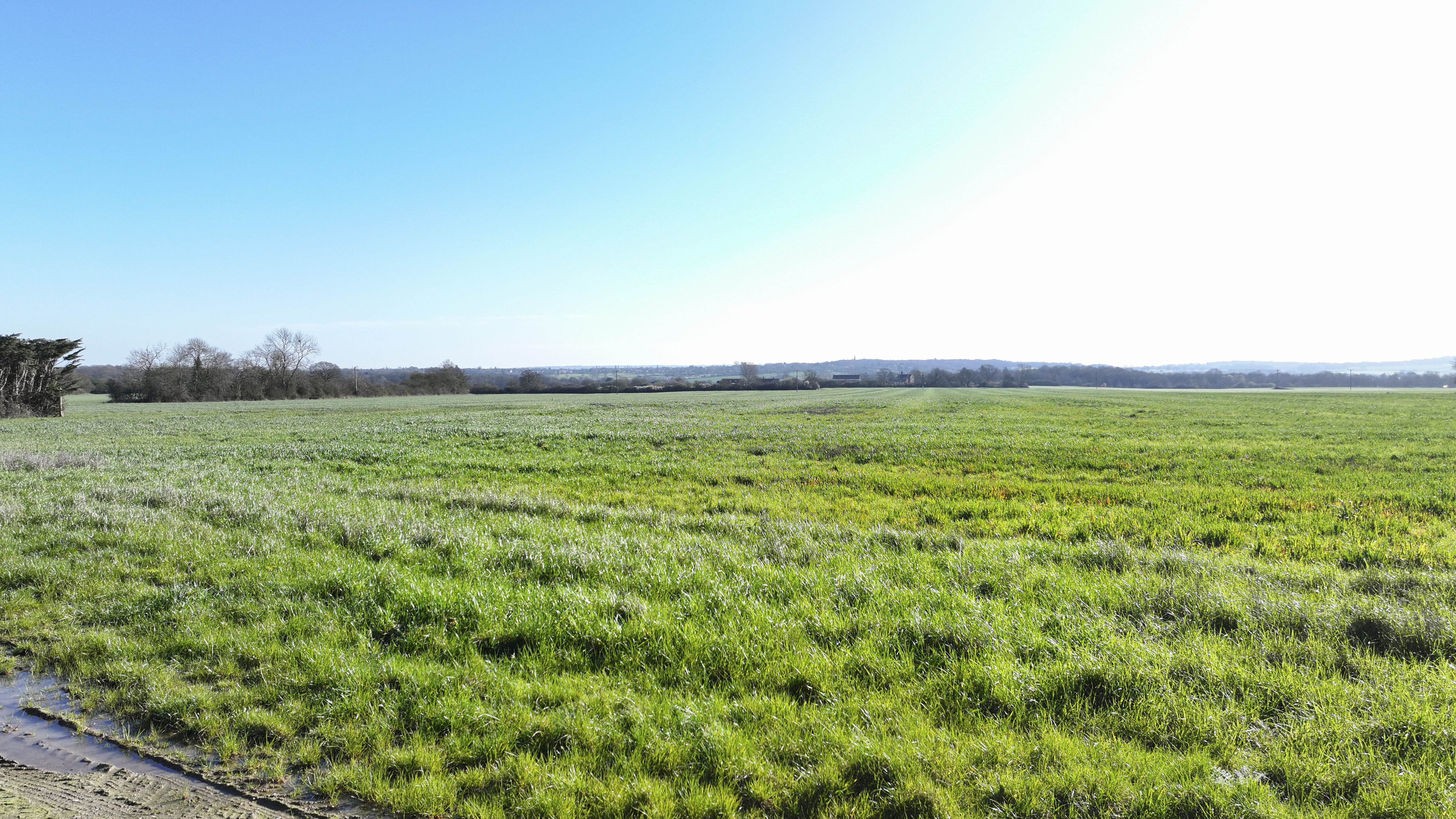 Writtle Road, Margaretting, CM4